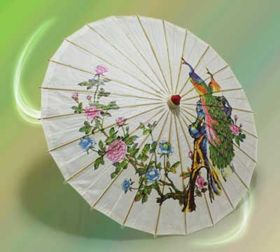 Sombrinha de Papel Pav�o