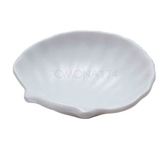 Molheira Concha